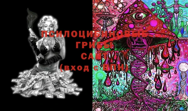 PSILOCYBIN Пестово
